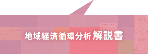 地域経済循環分析解説書