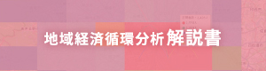 地域経済循環分析解説書